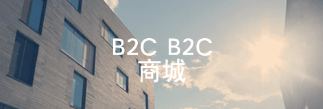 B2B B2C 商城